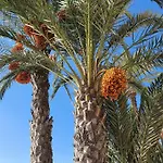 Appartement Casa Del Gato Rojo , Communal Swimming Pool , Terrace With Barbecue *