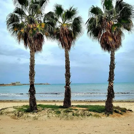 Casa Del Gato Rojo , Communal Swimming Pool , Terrace With Barbecue * Torrevieja