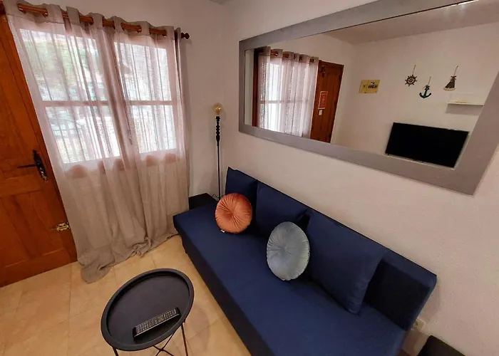 Casa Del Gato Rojo , Communal Swimming Pool , Terrace With Barbecue Apartament Torrevieja