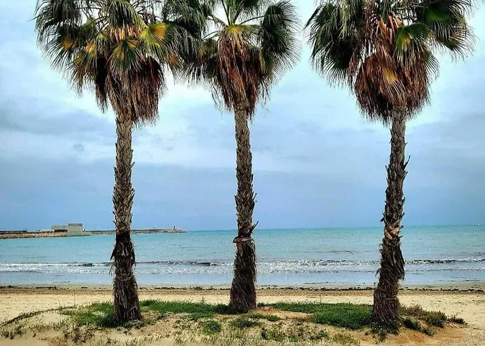 Casa Del Gato Rojo , Communal Swimming Pool , Terrace With Barbecue * Torrevieja